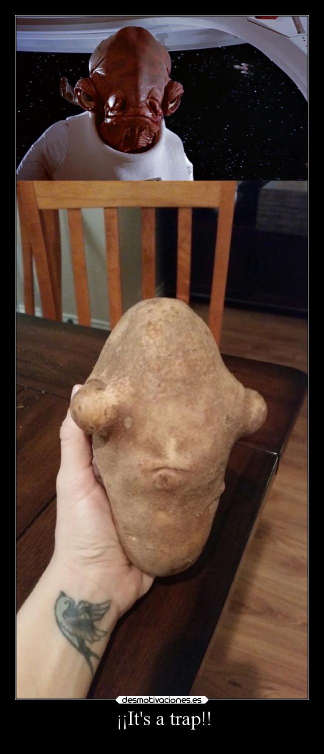 carteles desmotivaciones starwars itsatrap meme papa desmofunny desmotivaciones