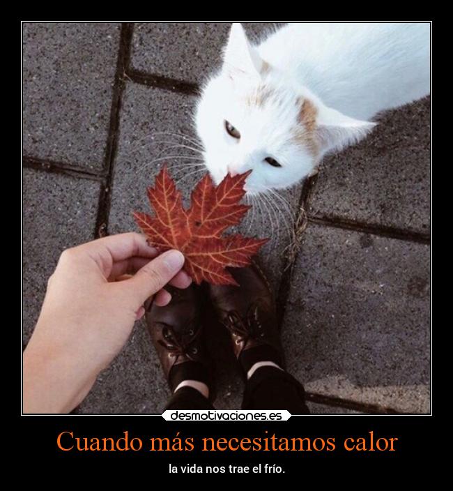Cuando más necesitamos calor - 