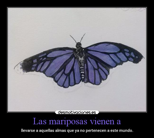 Las mariposas vienen a -