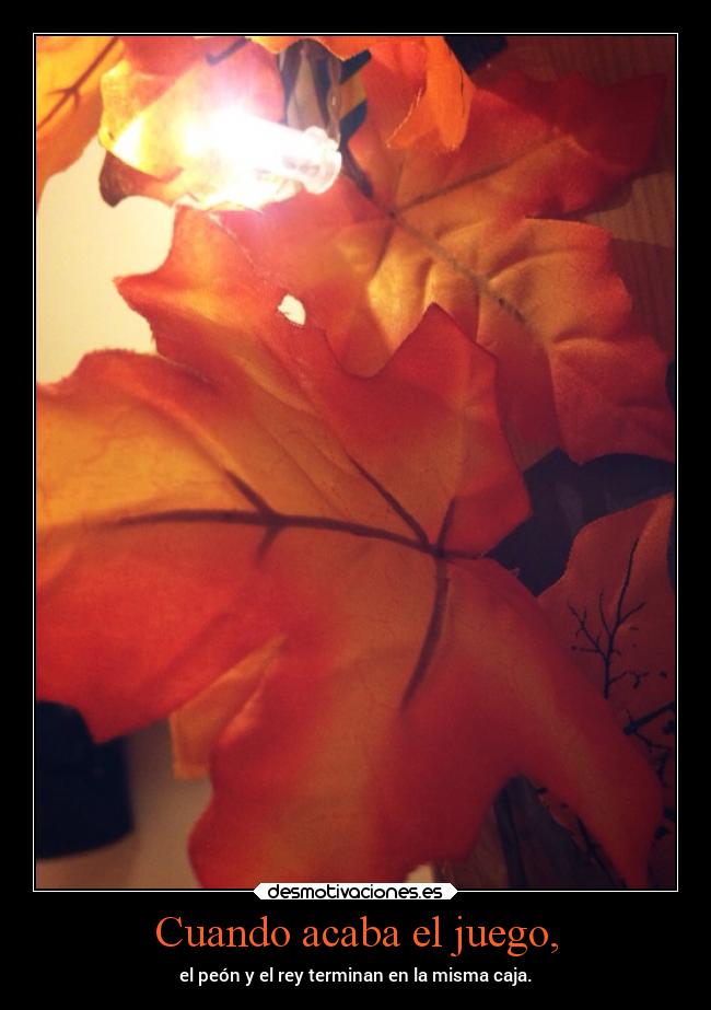 Cuando acaba el juego, - el peón y el rey terminan en la misma caja.