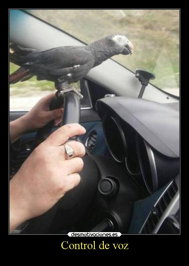 Control de voz -