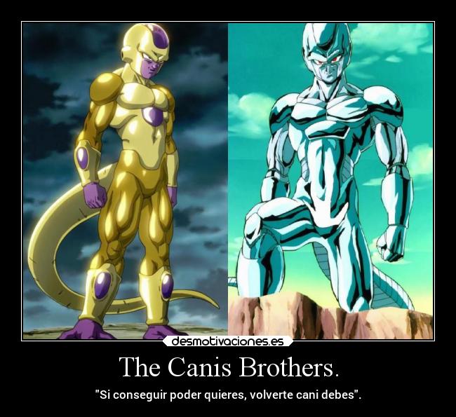 The Canis Brothers. - 