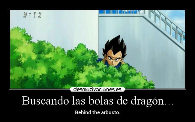 carteles humor dragonballsuper fuenteinagotable vegetabehindthearbusto elpatodelapiovendehierba desmotivaciones