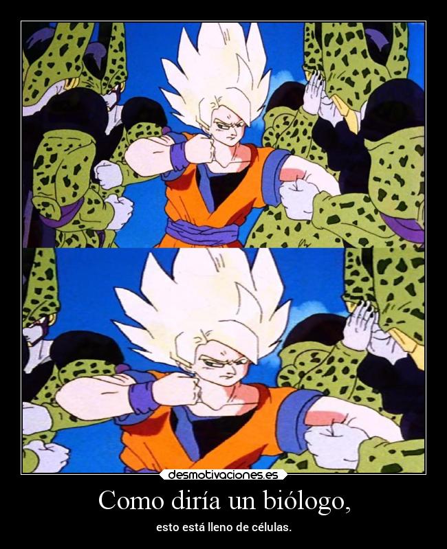 carteles humor dragonballz drgokuisindahouse chistacotime cells elpatodelapiovendehierba desmotivaciones