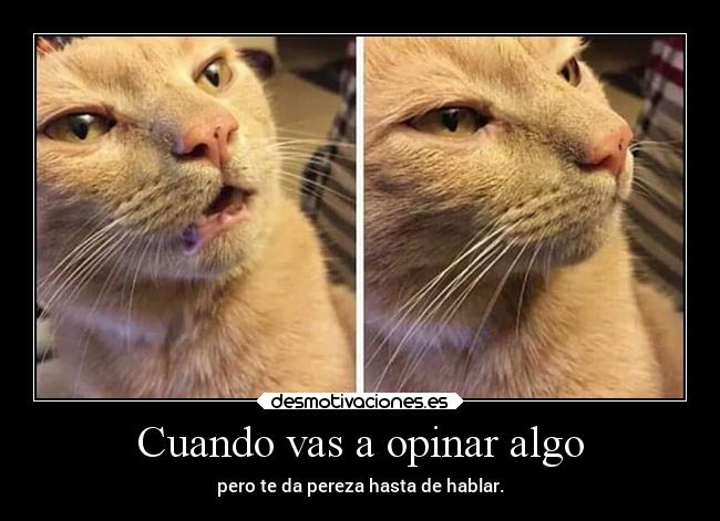 Cuando vas a opinar algo - 