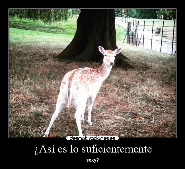 ¿Así es lo suficientemente - sexy?
