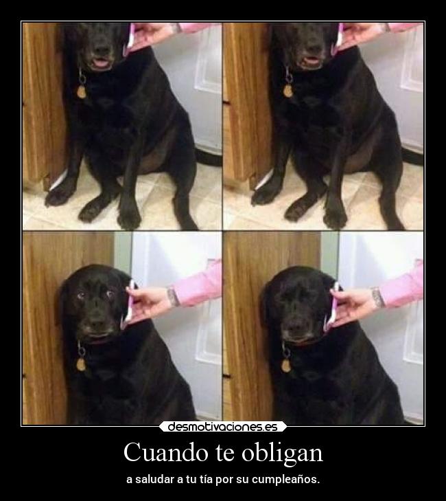 Cuando te obligan - 