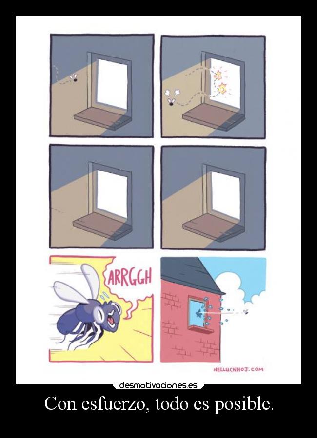 Con esfuerzo, todo es posible. - 