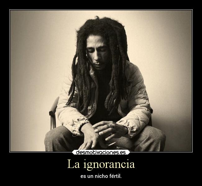 carteles ignorancia arte musica ignorancia bob marley lossupervivientes desmotivaciones