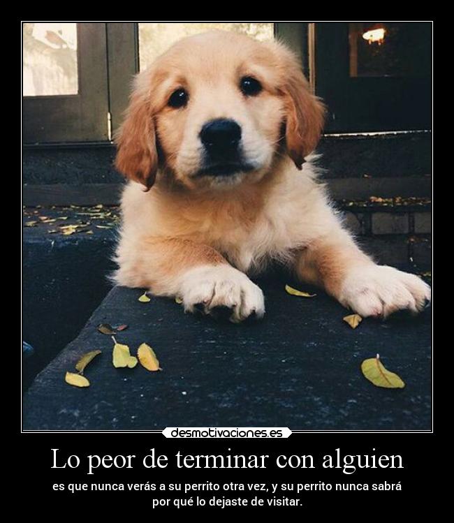 Lo peor de terminar con alguien - es que nunca verás a su perrito otra vez, y su perrito nunca sabrá
por qué lo dejaste de visitar.