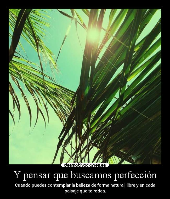 Y pensar que buscamos perfección - Cuando puedes contemplar la belleza de forma natural, libre y en cada
paisaje que te rodea.