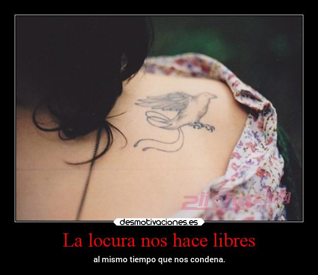 La locura nos hace libres -