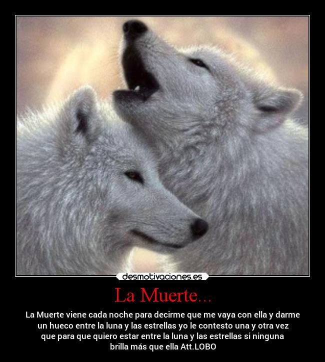 carteles muerte amor vida puede hacerte dano feliz ser mas bonito doloroso desmotivaciones