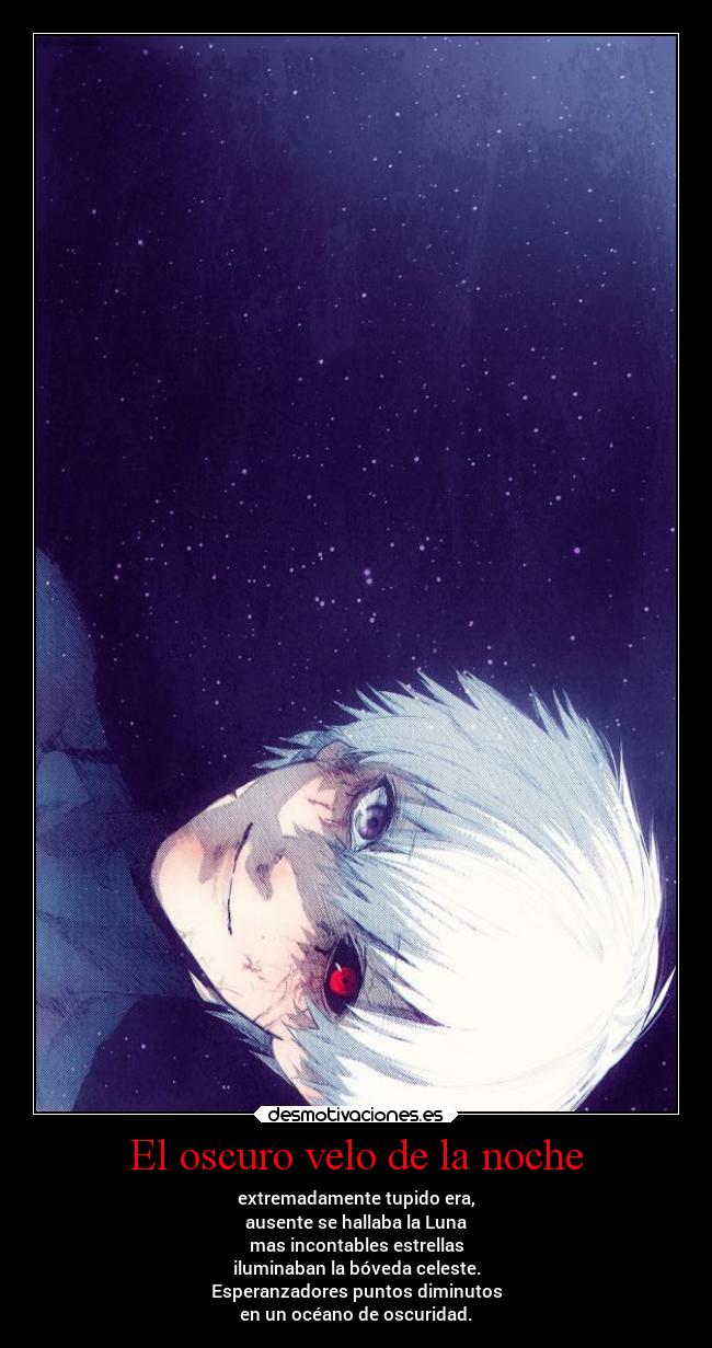 El oscuro velo de la noche - 