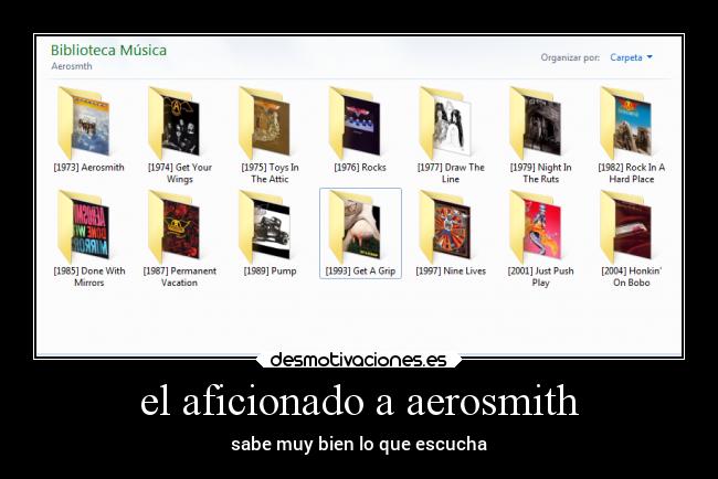 el aficionado a aerosmith -