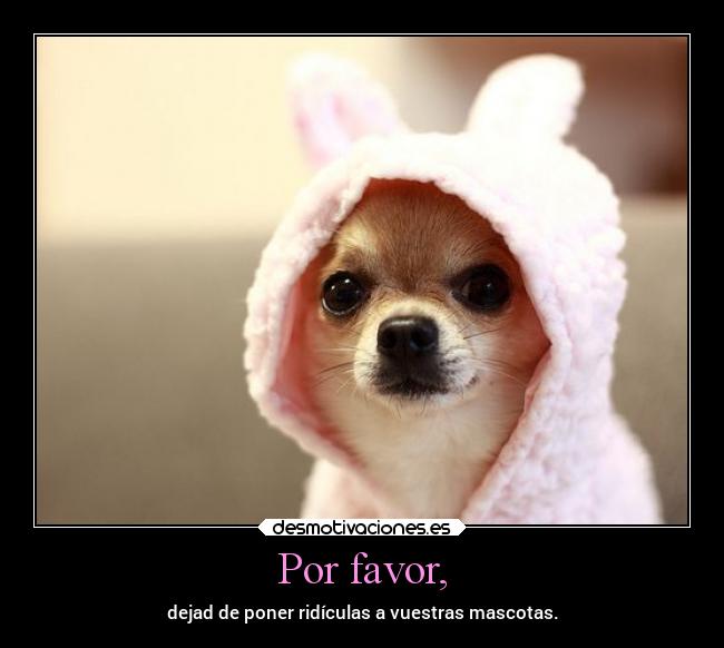 carteles obstaculos woorld mascotas ridiculo desmotivaciones