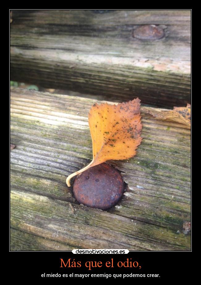 Más que el odio, - el miedo es el mayor enemigo que podemos crear.