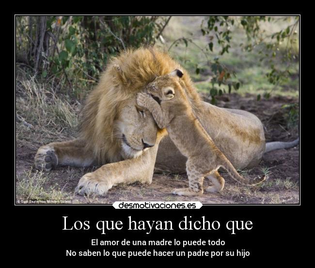 Los que hayan dicho que - 