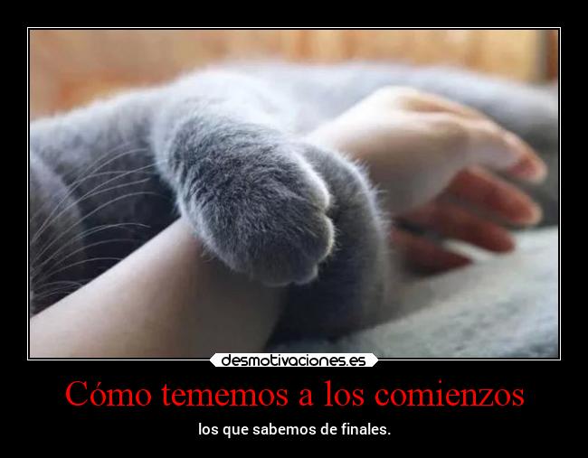 Cómo tememos a los comienzos -