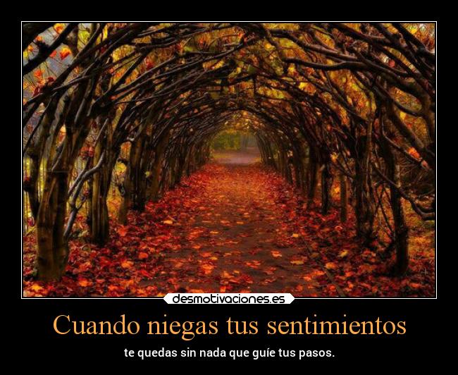 Cuando niegas tus sentimientos - te quedas sin nada que guíe tus pasos.