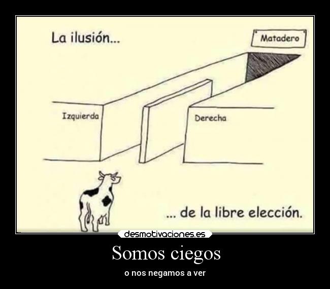 carteles sociedad desmotivaciones