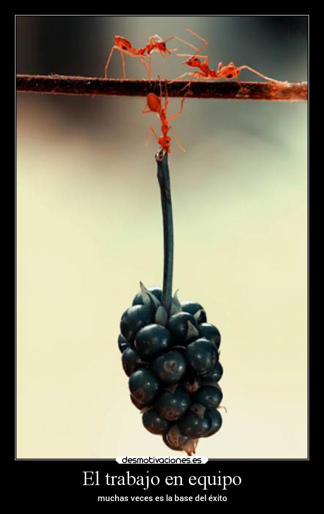 El trabajo en equipo -