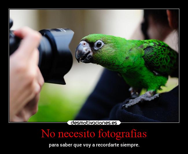 No necesito fotografías -