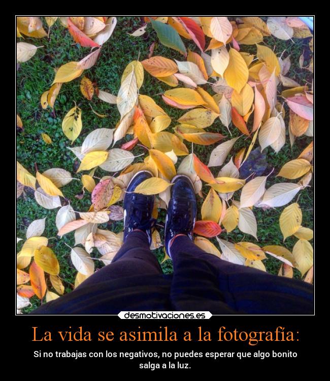 La vida se asimila a la fotografía: - Si no trabajas con los negativos, no puedes esperar que algo bonito
salga a la luz.