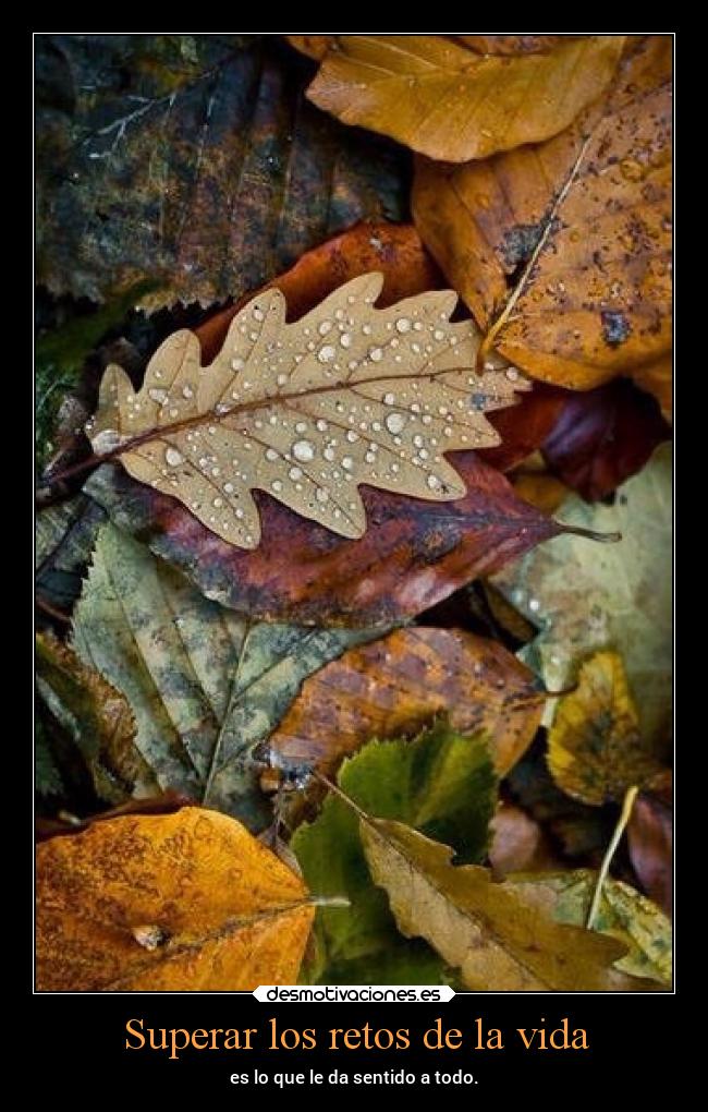 Superar los retos de la vida - es lo que le da sentido a todo.