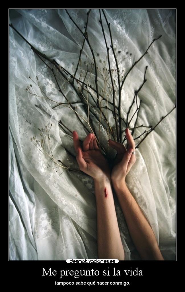 Me pregunto si la vida -