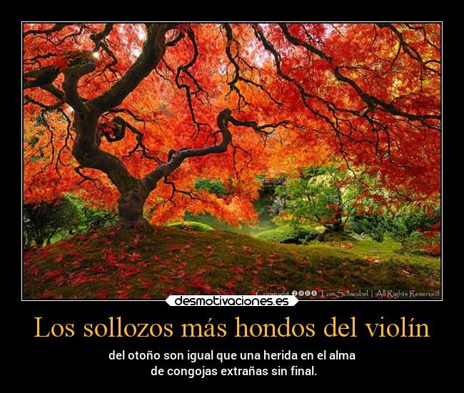 Los sollozos más hondos del violín - del otoño son igual que una herida en el alma
 de congojas extrañas sin final.
