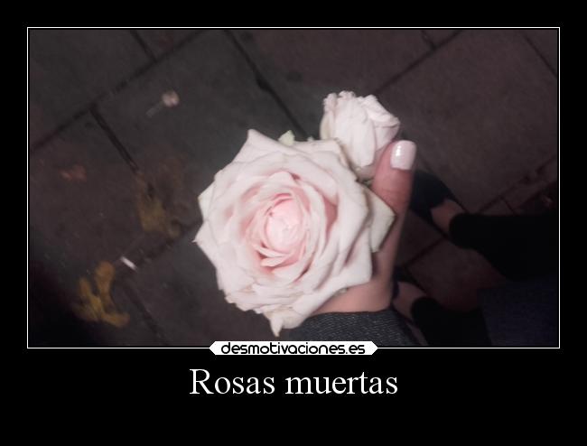 Rosas muertas -