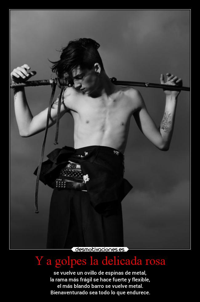 Y a golpes la delicada rosa -