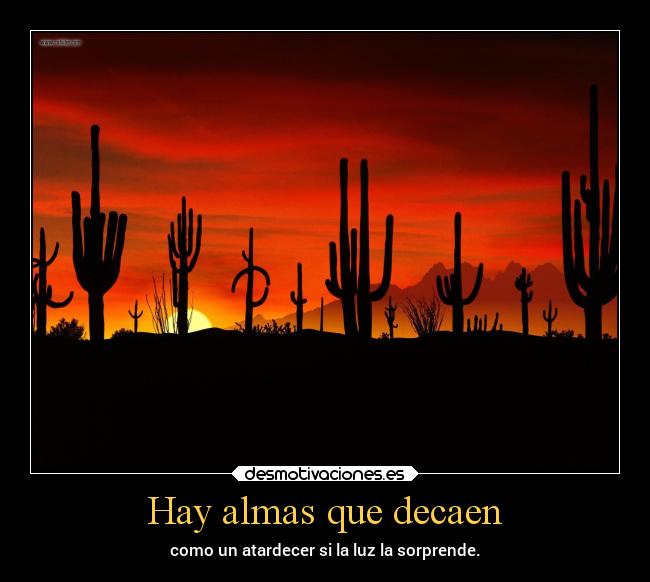 carteles vida mexico desierto mexico2016 desmotivaciones