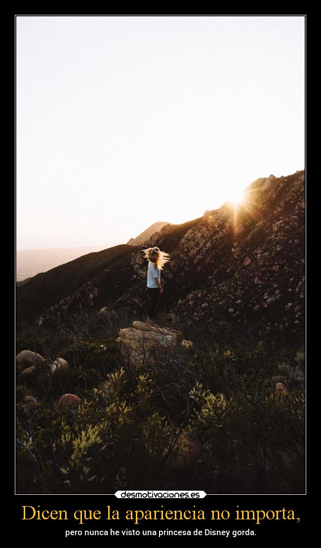 Dicen que la apariencia no importa, - pero nunca he visto una princesa de Disney gorda.