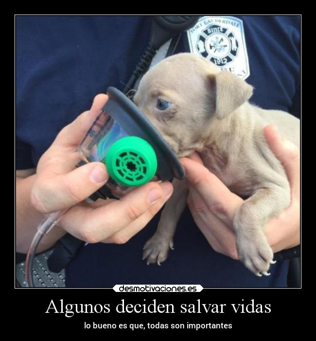 Algunos deciden salvar vidas -