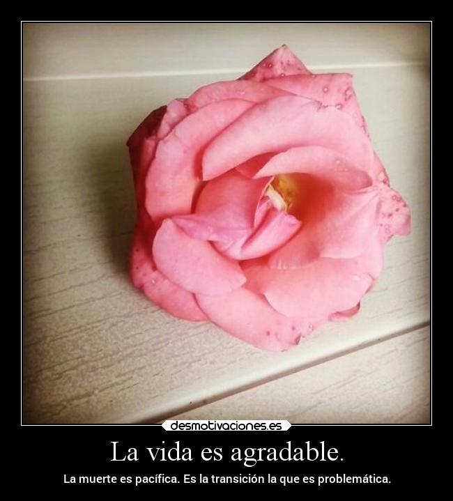 La vida es agradable. - 