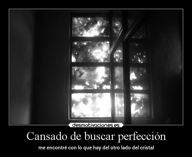 carteles vida naturaleza desmotivaciones