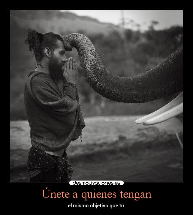 Únete a quienes tengan - el mismo objetivo que tú.