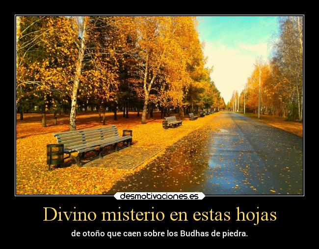 carteles vida otono chopper laalianzarebelde llego clima hojas budhas desmotivaciones