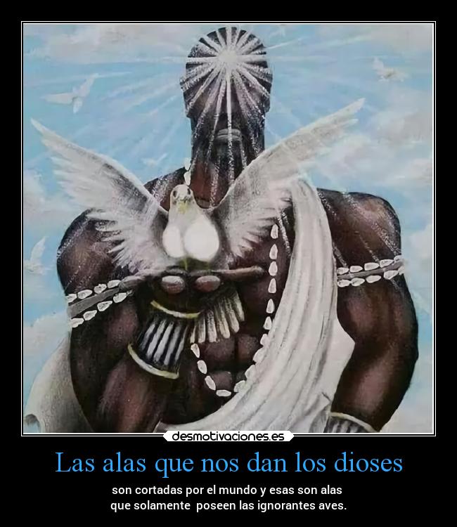 Las alas que nos dan los dioses - son cortadas por el mundo y esas son alas 
que solamente  poseen las ignorantes aves.