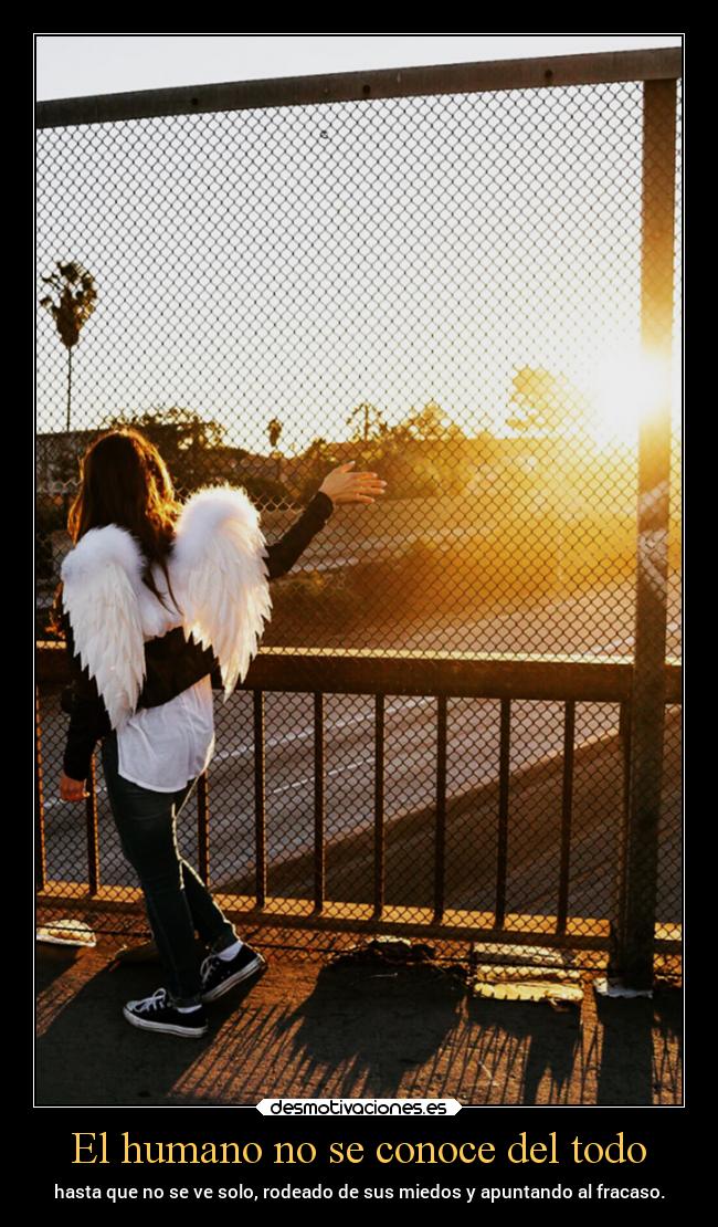 El humano no se conoce del todo - 