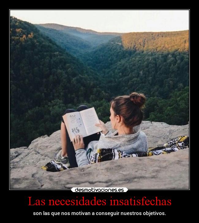 Las necesidades insatisfechas - 