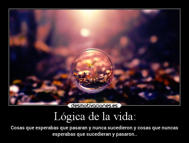 Lógica de la vida: - 