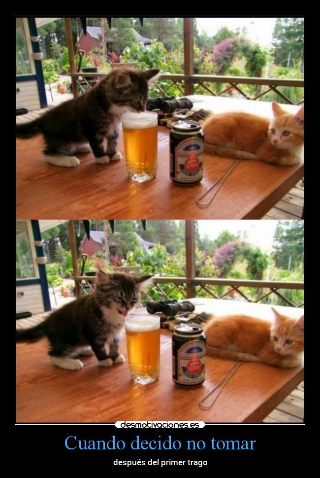 Cuando decido no tomar - después del primer trago