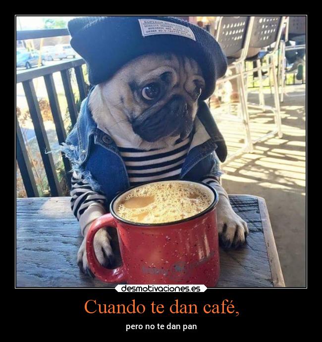 Cuando te dan café, - 