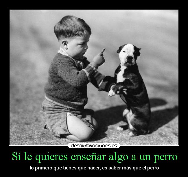 carteles alma alegria animales amor vida sentimientos roberto gomez desmotivaciones