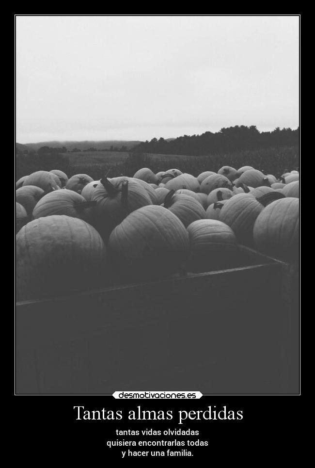 carteles alma max desmotivaciones