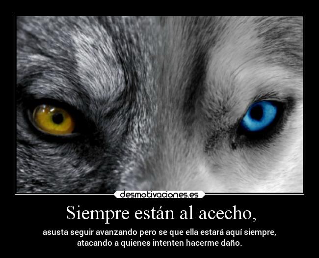 Siempre están al acecho, - asusta seguir avanzando pero se que ella estará aquí siempre,
atacando a quienes intenten hacerme daño.