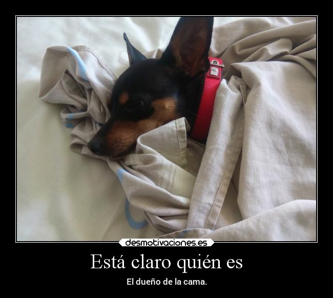Está claro quién es - El dueño de la cama.